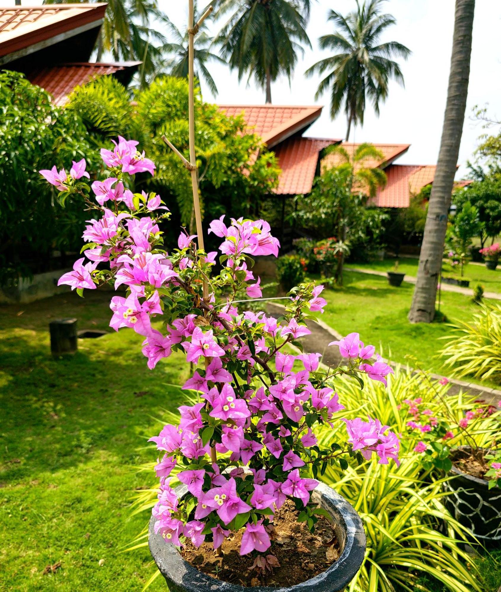 Cocolagoon eco Resort Trincomalee Esterno foto